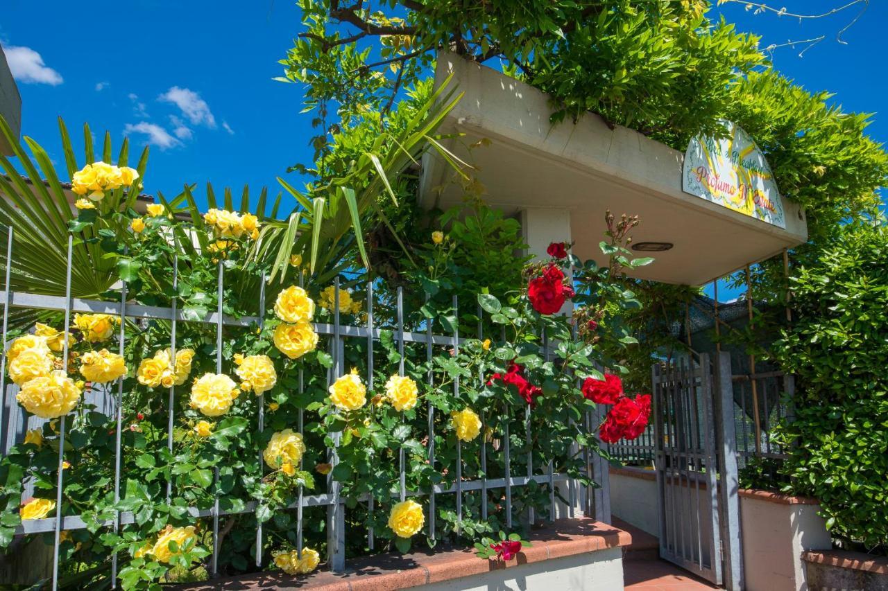 Bed & Breakfast Profumo D'Estate Agliana Exteriér fotografie