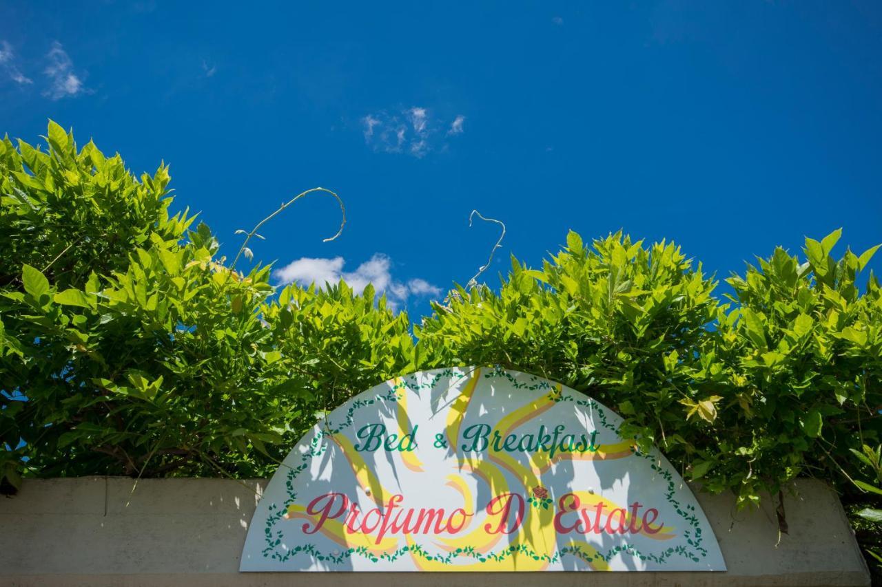 Bed & Breakfast Profumo D'Estate Agliana Exteriér fotografie
